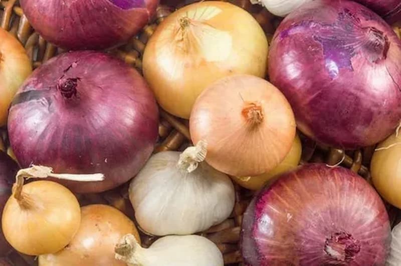 پیاز طیفی صورتی با رنگ تدریجی و جذاب مناسب ترشی